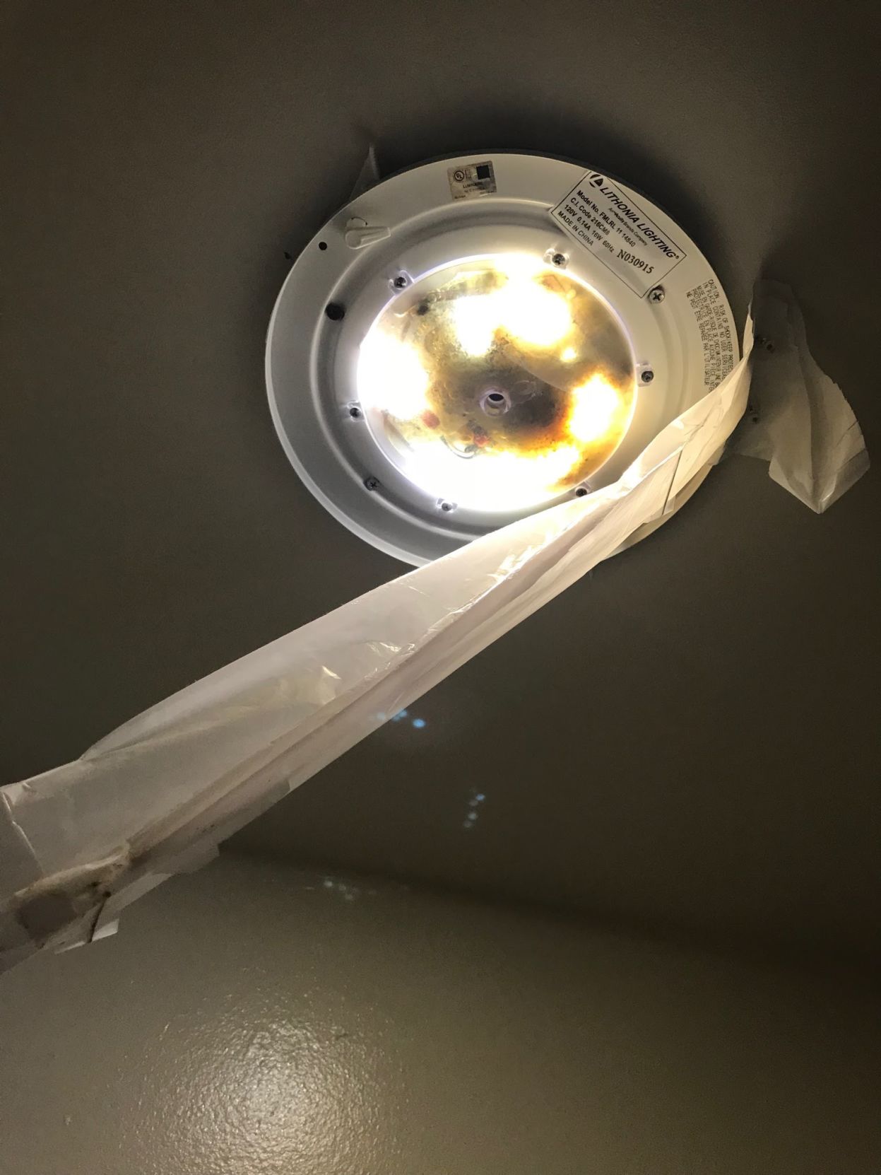 mold in o house light